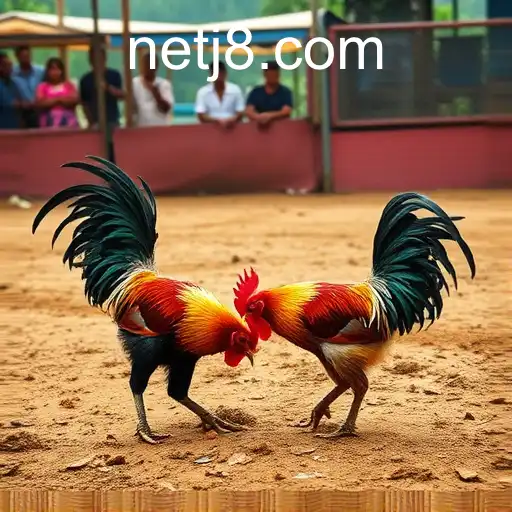 Discovering J8 in Sabong Games